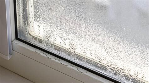 Window Leak Repair: Who to Call